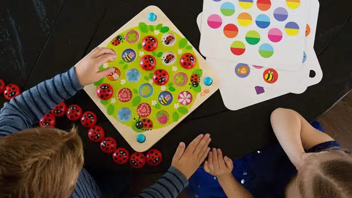 Ladybug Garden The Ladybug Garden memory game for kids.