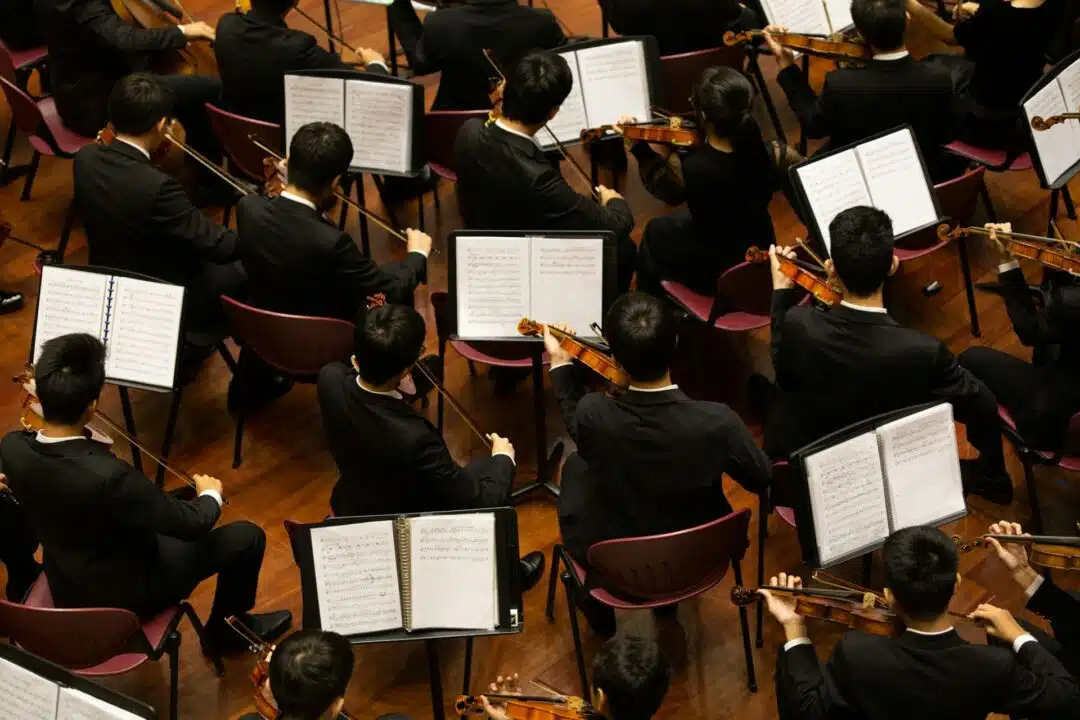 Orchestral musicians in action.