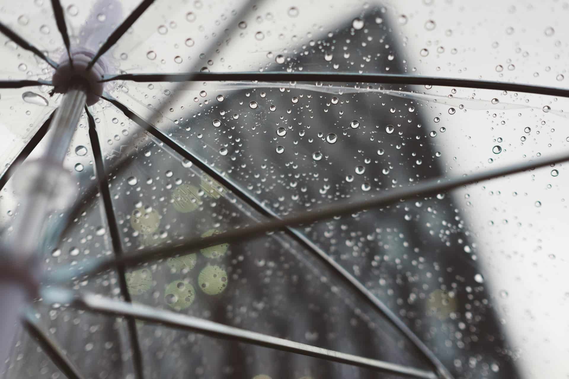 Water droplets on a clear umbrella.