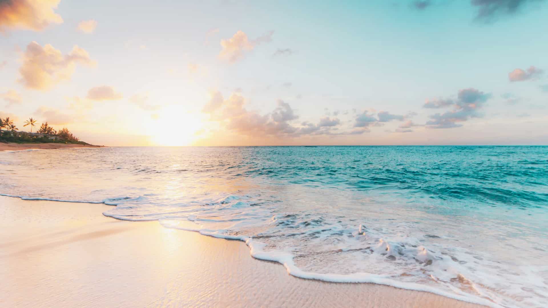 A picture of a beach during summertime.