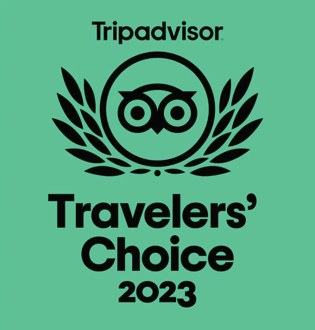Green version of Tripadvisor Travelers' Choice badge.