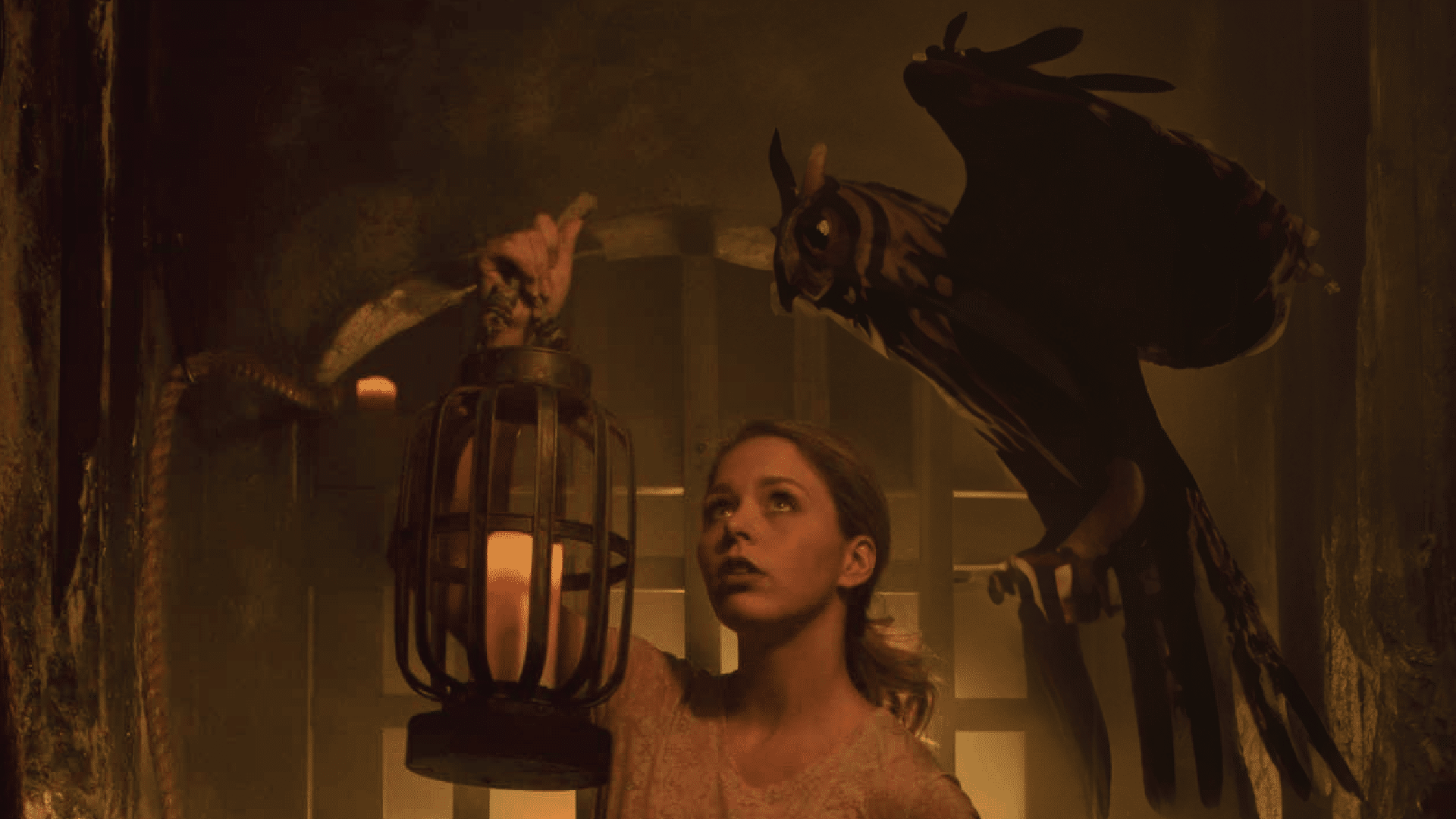 An owl helps a player illuminated by the light from a lantern.