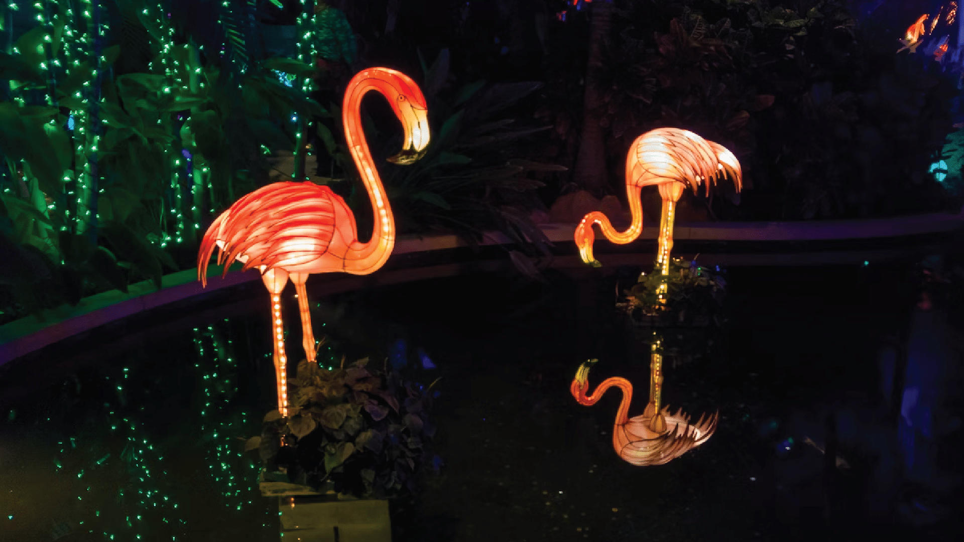 Two flamingo shaped lights illuminate a tropical background.