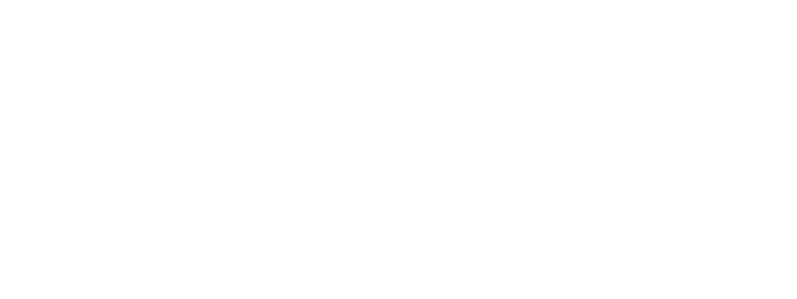 Traveler's Choice Trip Advisor 2021.