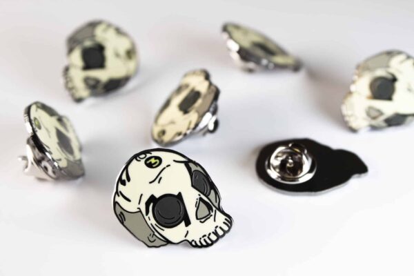 Grouping of At Odds with the Gods skull pins.