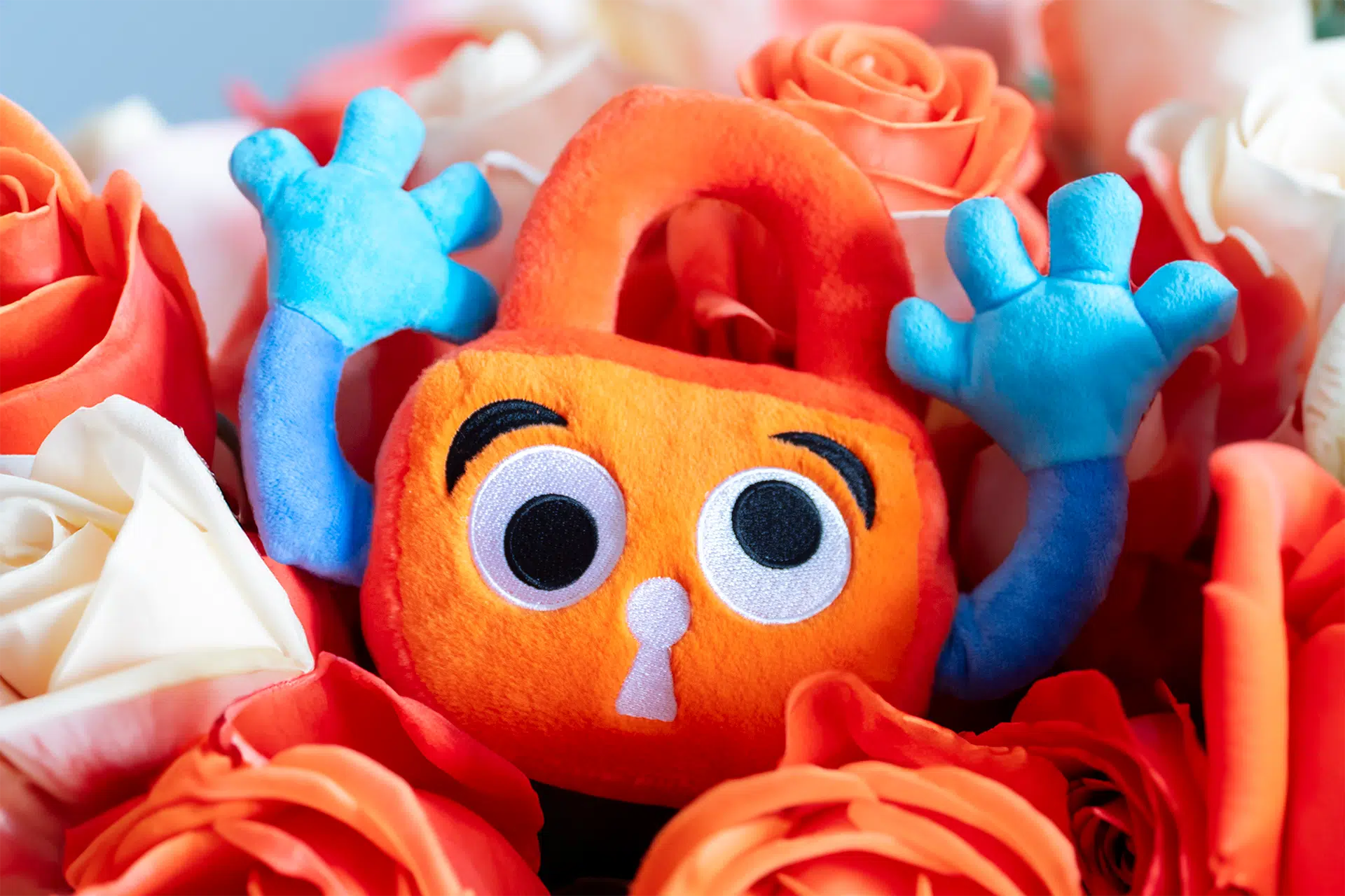 A Paddy Padlock plush nestled amongst roses.