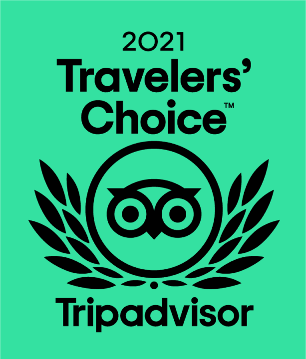 Green version of Tripadvisor Travelers' Choice badge.